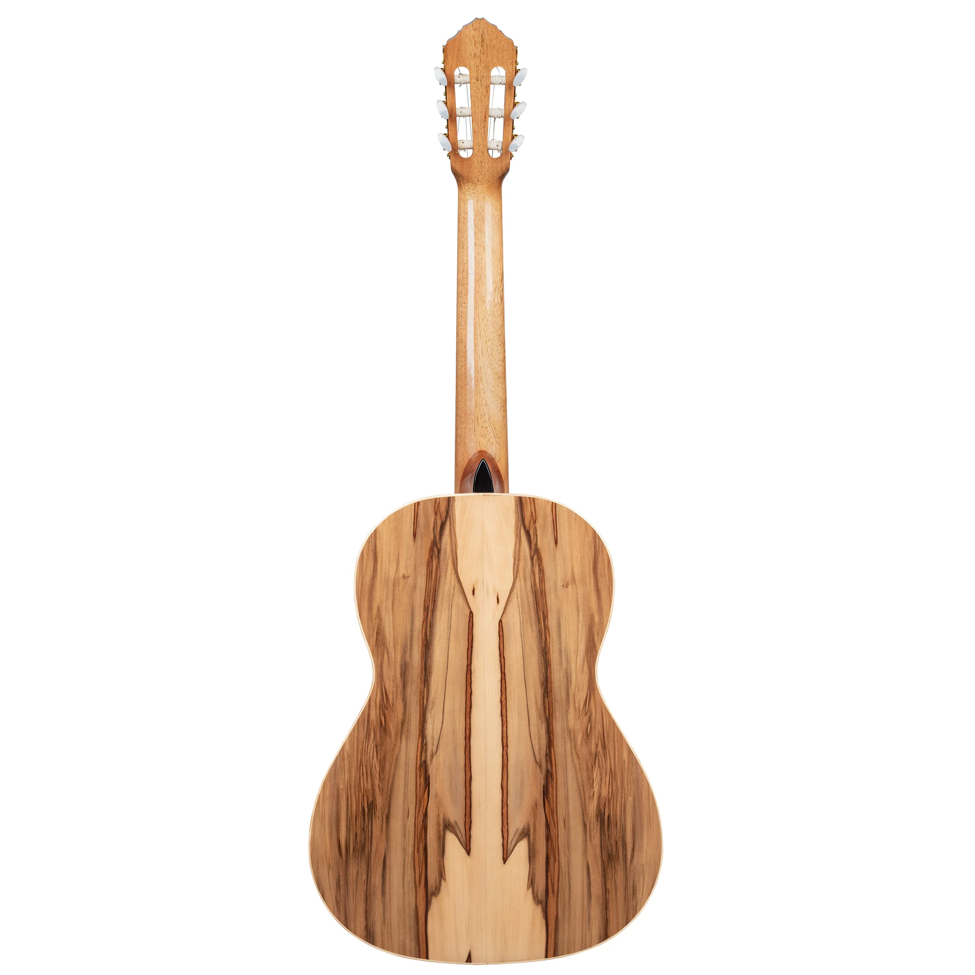 R20GSNRG Classical Guitar